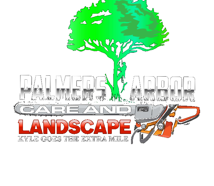 Palmer's Arbor Care and Landscape
